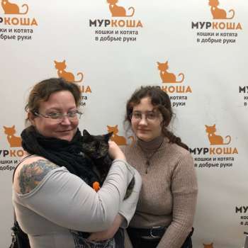 Жади