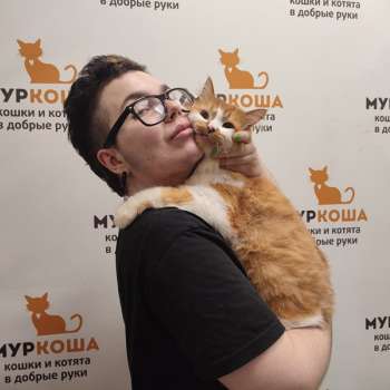 Жильбер 