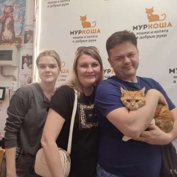 Абордаж 