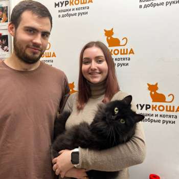 Алисабель 