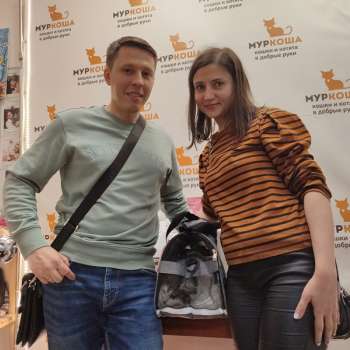 Аперолька