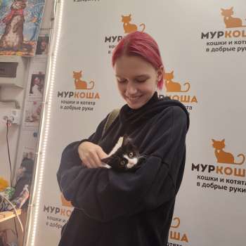 Арланда 