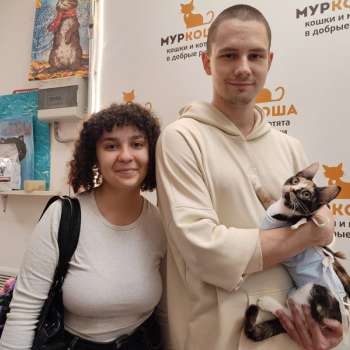 Айгюль 