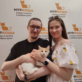 Барабашка