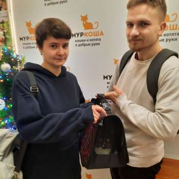 Барбариска 