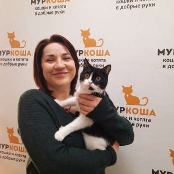 Базилика 