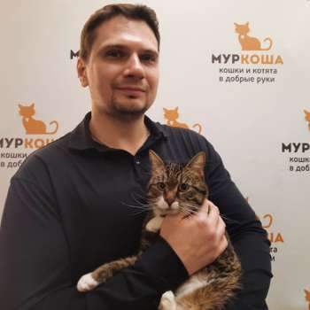 Бонсай 
