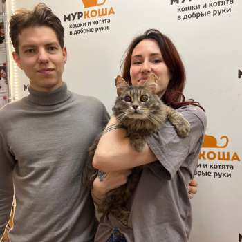 Боярышник 
