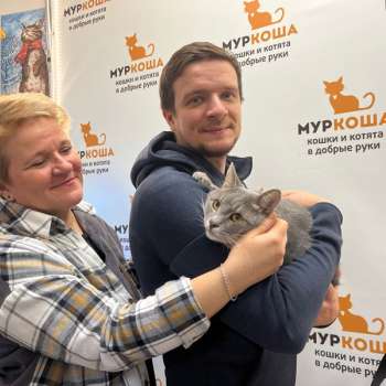 Буревой 