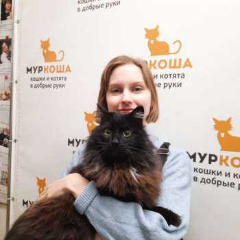 Черномур 