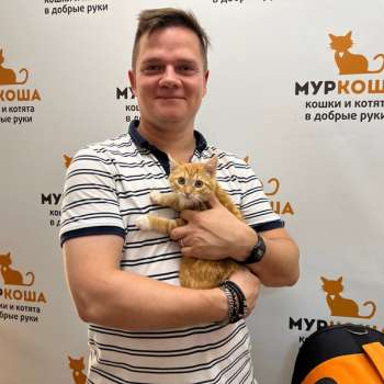 Цукатик 