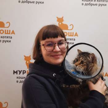 Даймонд 