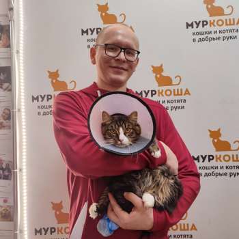 ДеМонсоро 
