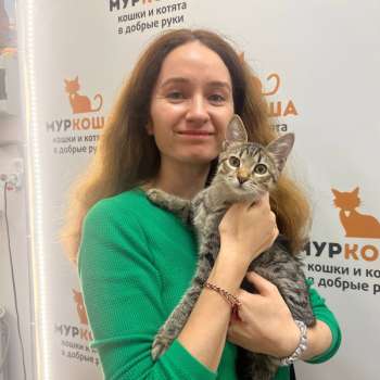Димусик 