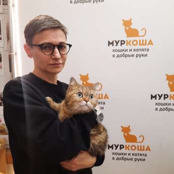 Джиллис 