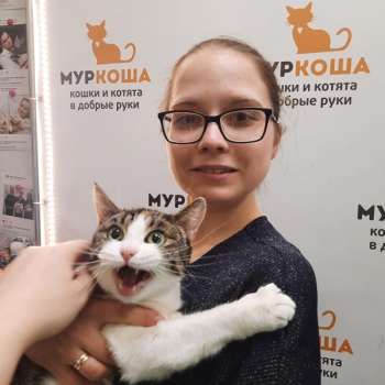 Эльма 
