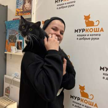 Эндорфин 