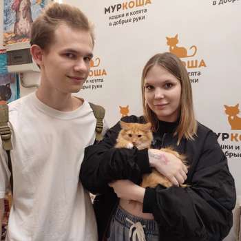 Ферги 