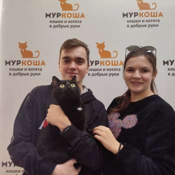 Фокстрот 