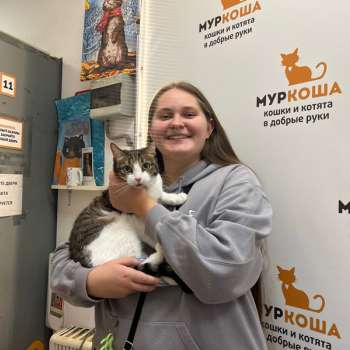 Геппа