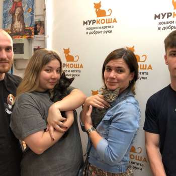 Герлен 