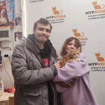 Глинтвейн 
