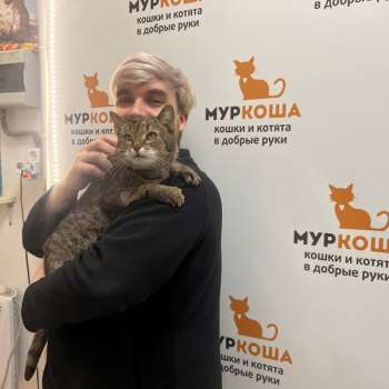 Гвоздика