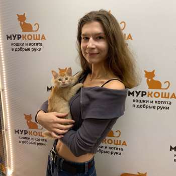 Испания 