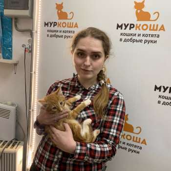 Харуки 