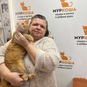 Хавьер 