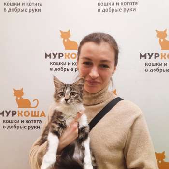 Хелиодор 