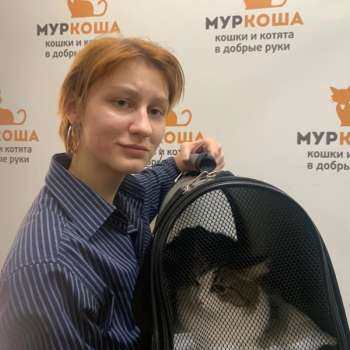 Кларисса