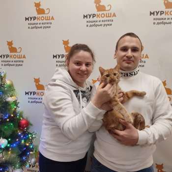 Клементин 