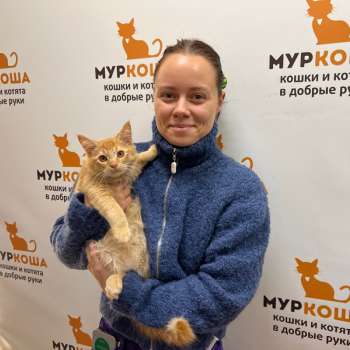 Коралл 
