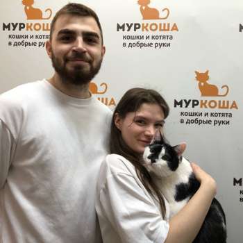 Корнелиус 