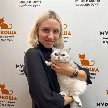 Корсика 