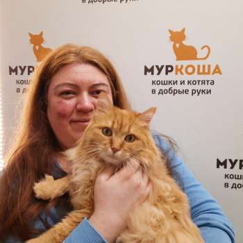 Кошарик 