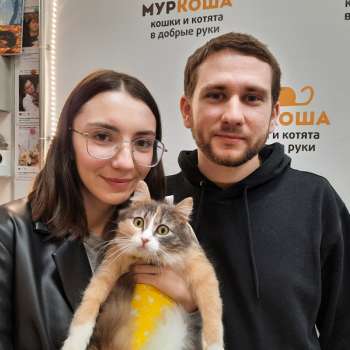Кремка 