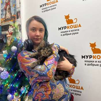 Кутуз 