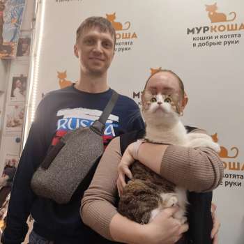 Липушка 