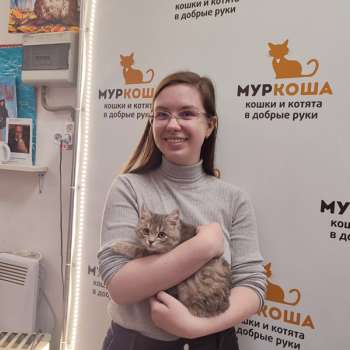 Лойс 