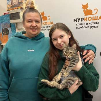 Лувиния 