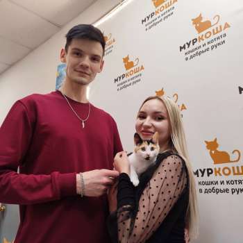 Матрешка 