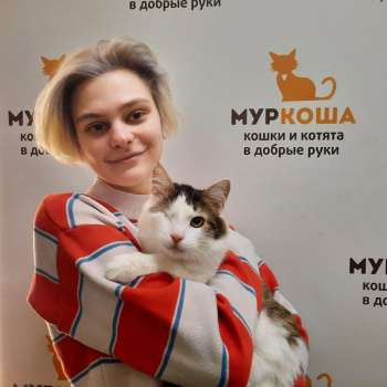 Мэджик 
