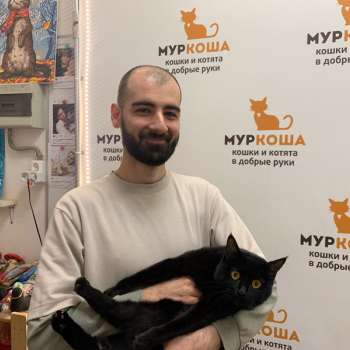 Мейера 