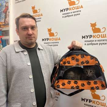 Мицуи 