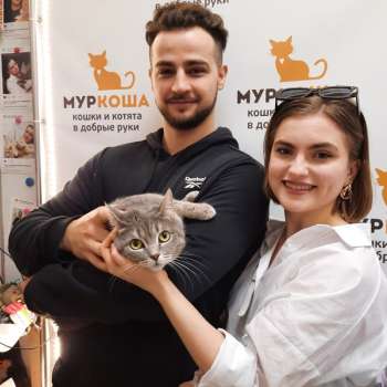 Миллионерша 