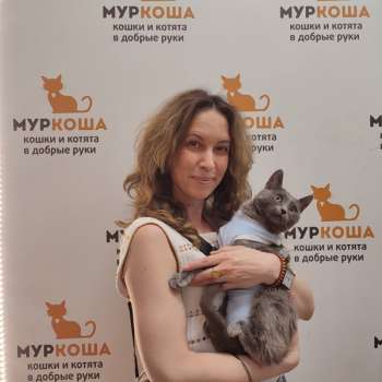 Мимомо 