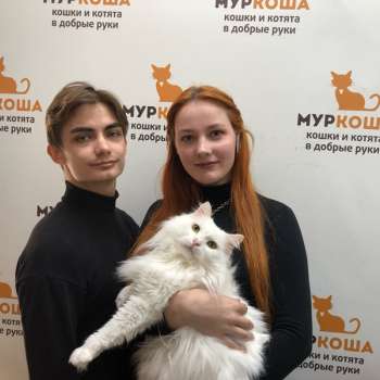 Монарх 