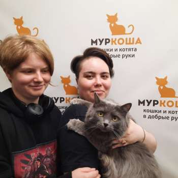 Монпансье